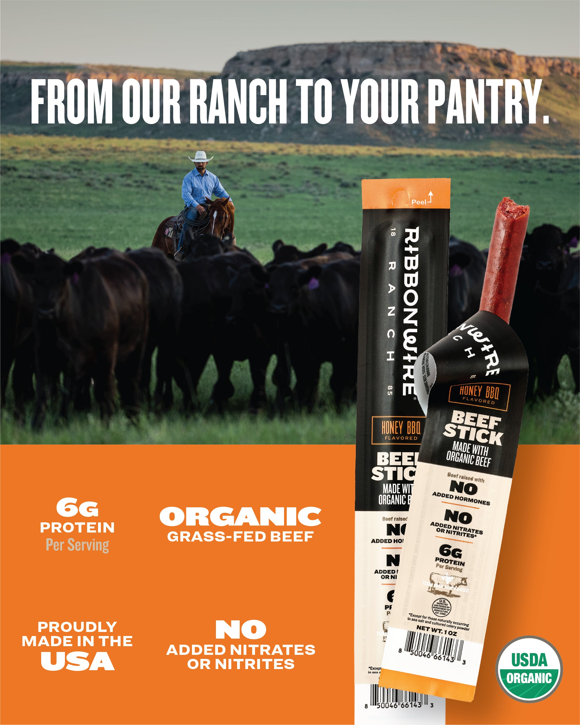Honey BBQ Organic Beef Sticks