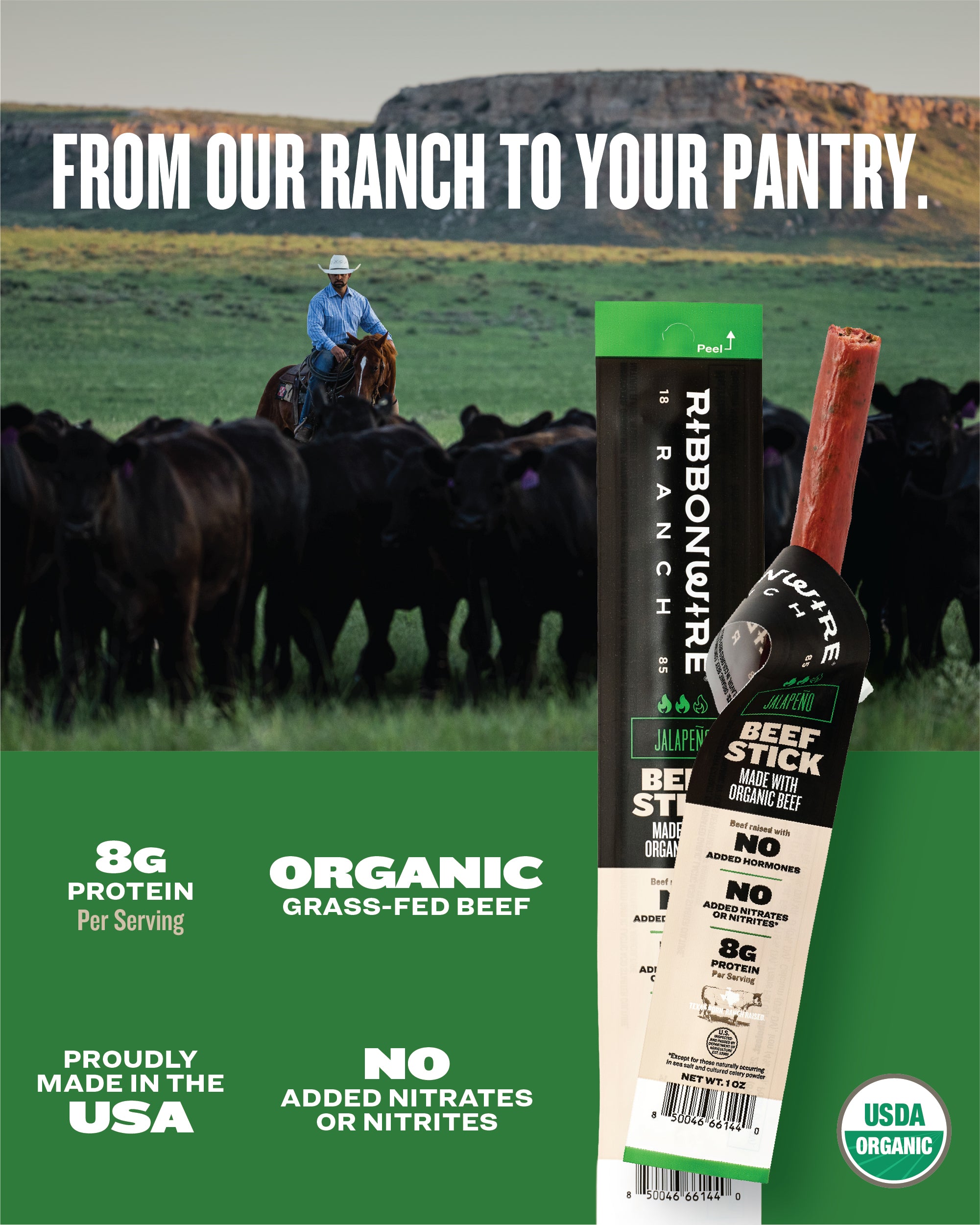 Jalapeño Organic Beef Sticks