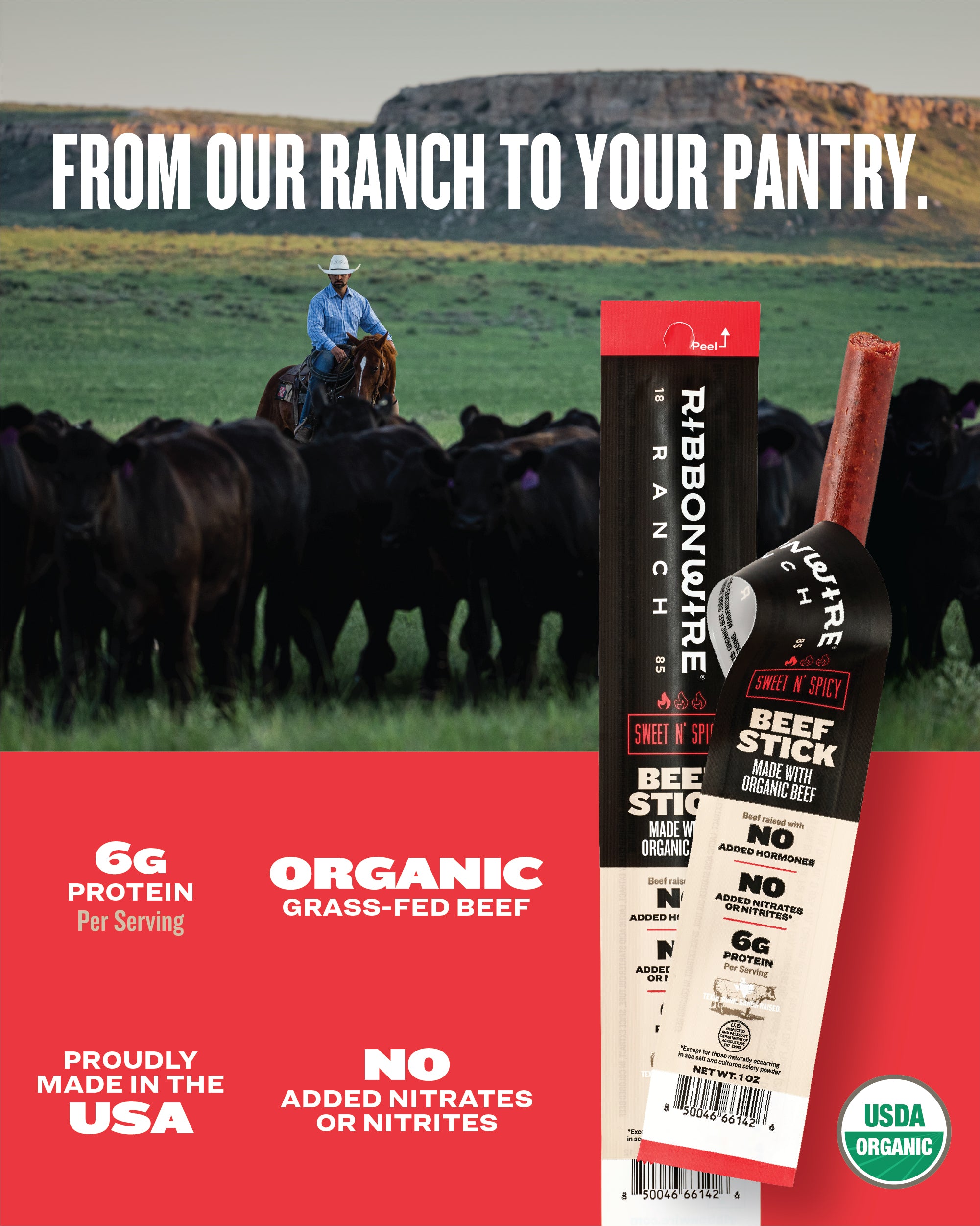 Sweet N Spicy Organic Beef Sticks